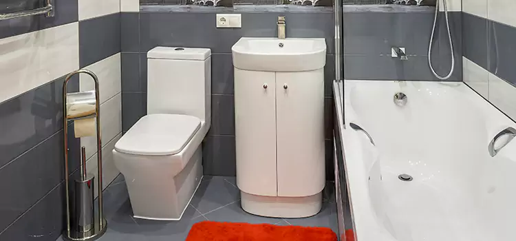 Hansgrohe Shaving Mirror Bethesda